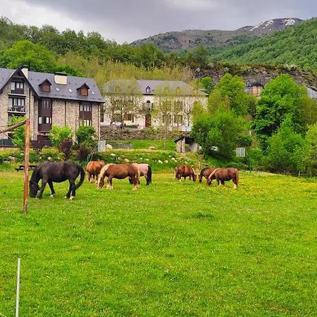 Appartamento Cachorros *