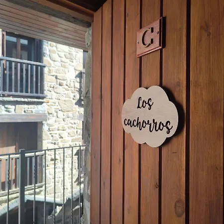 Cachorros El Pueyo de Jaca