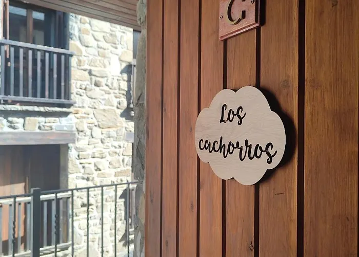 Cachorros El Pueyo de Jaca