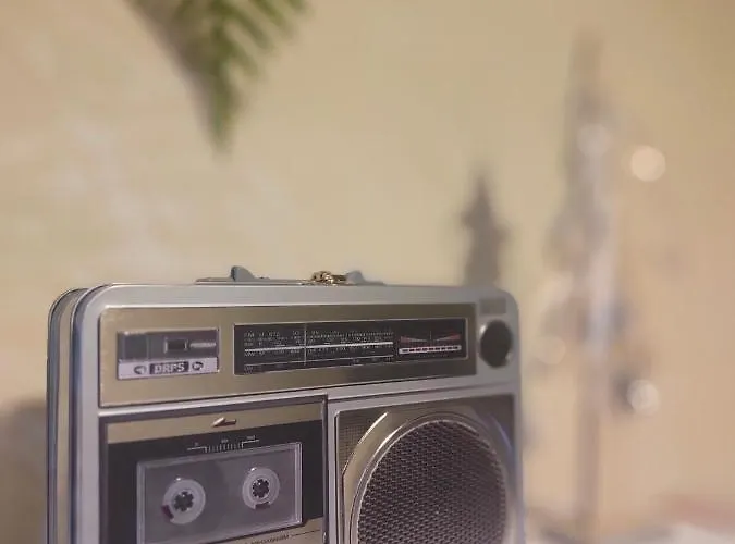 Cachorros El Pueyo de Jaca