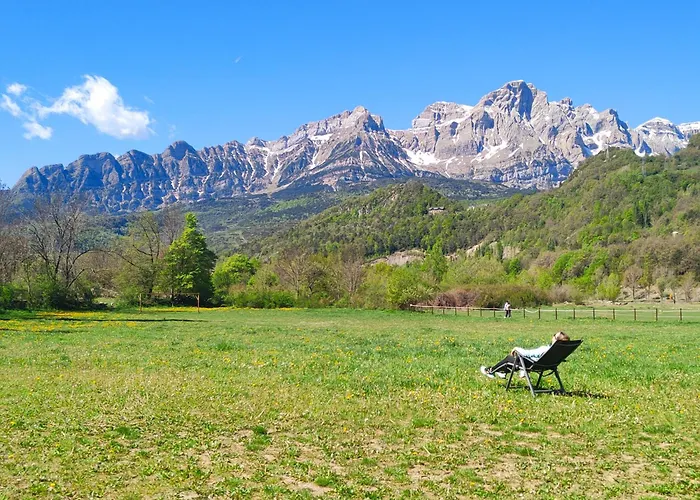 Apartamento Cachorros